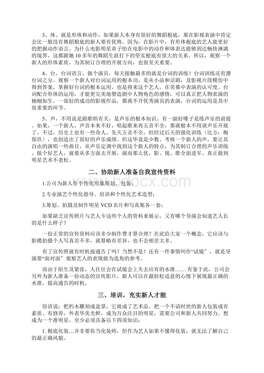 艺人整体包装策划方案全案文档格式.docx_第2页