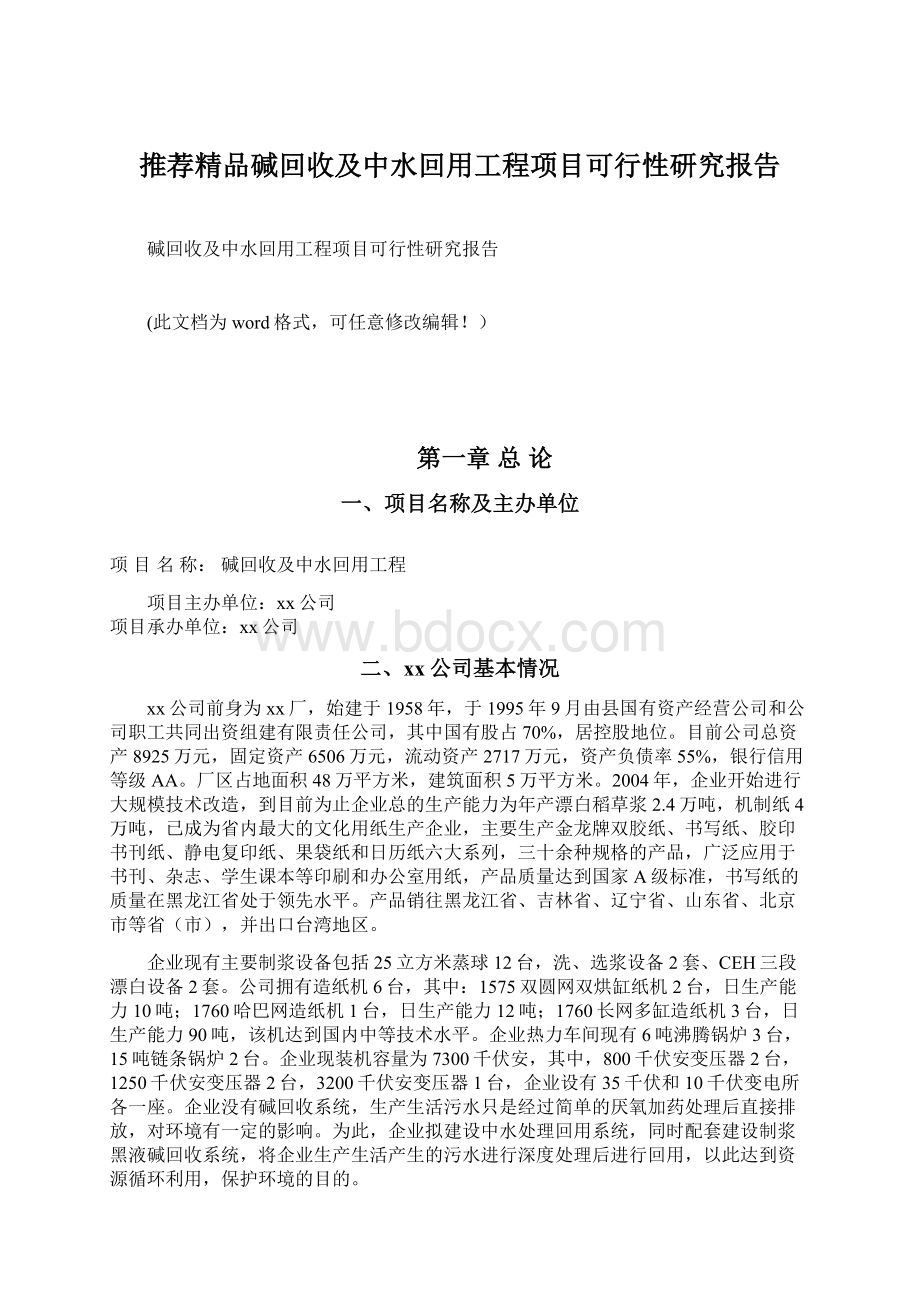 推荐精品碱回收及中水回用工程项目可行性研究报告Word文档格式.docx