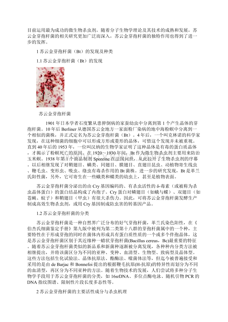 苏云金芽孢杆菌研究与展望.docx_第2页