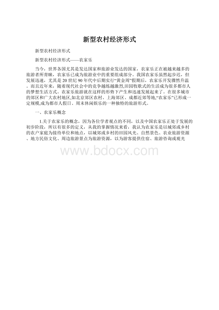 新型农村经济形式Word格式.docx