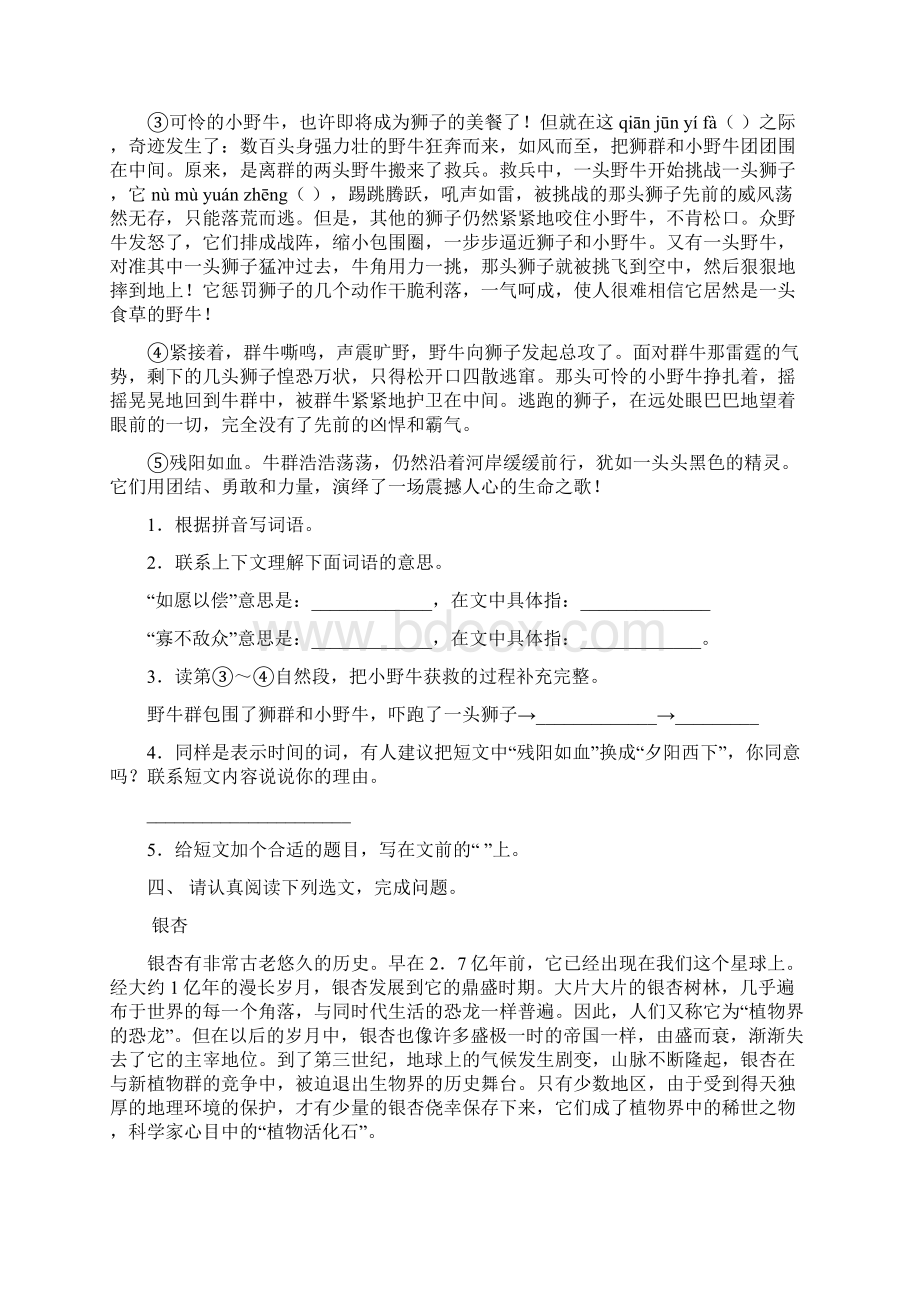 苏教版六年级语文下册短文阅读完美版Word文档格式.docx_第3页