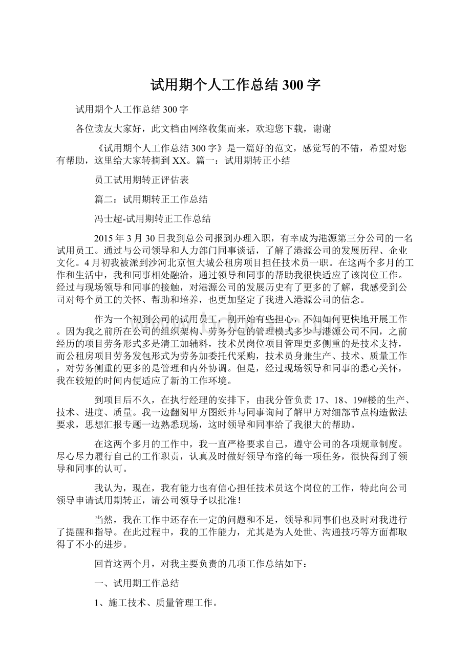 试用期个人工作总结300字.docx