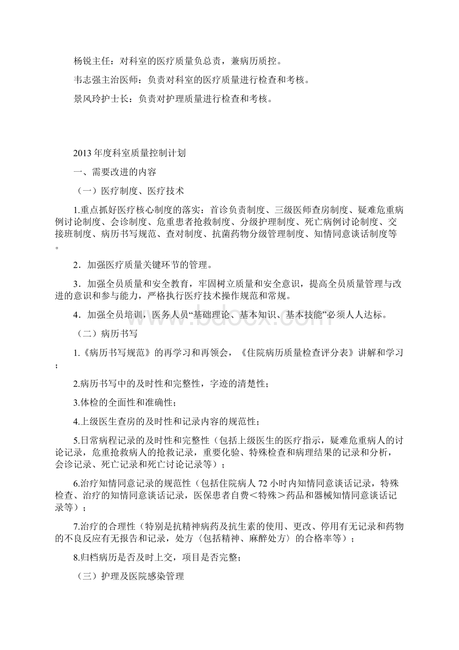 医疗质量持续改进记录文档格式.docx_第2页