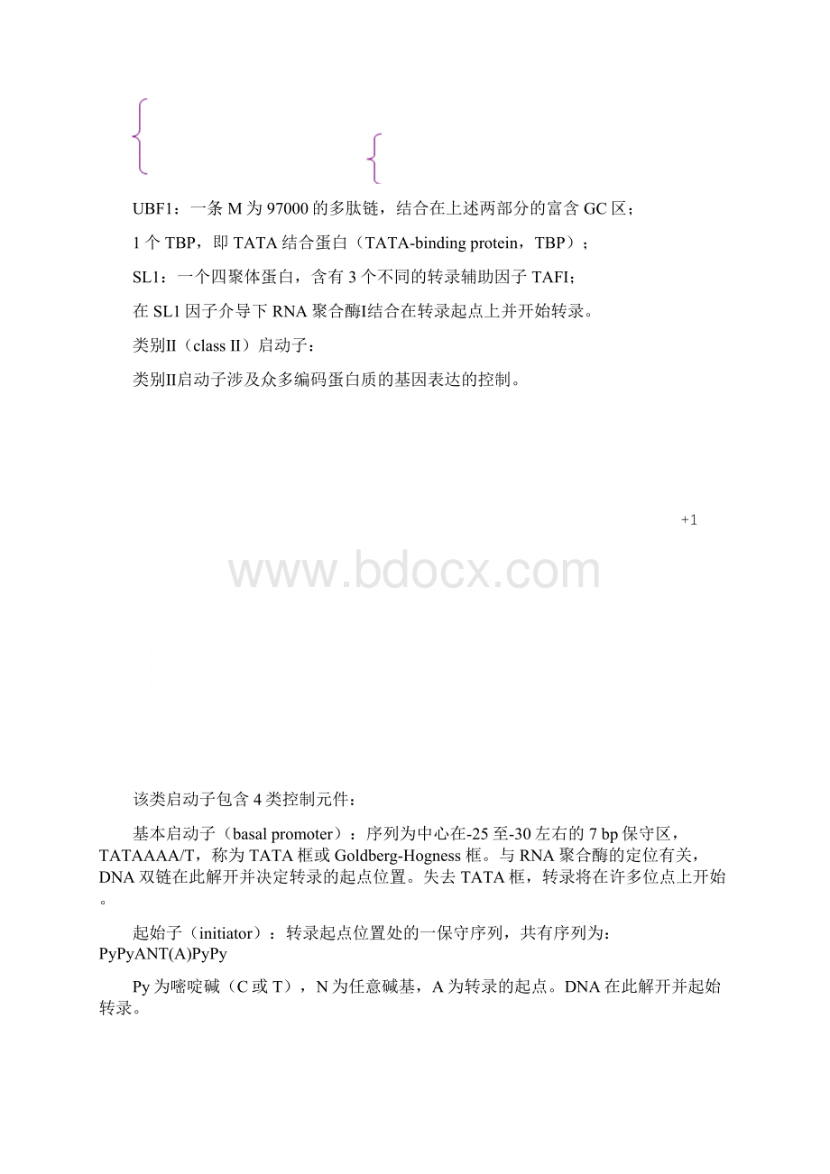 启动子与增强子启功硬笔书法小楷字帖千字文完整版Word格式文档下载.docx_第3页