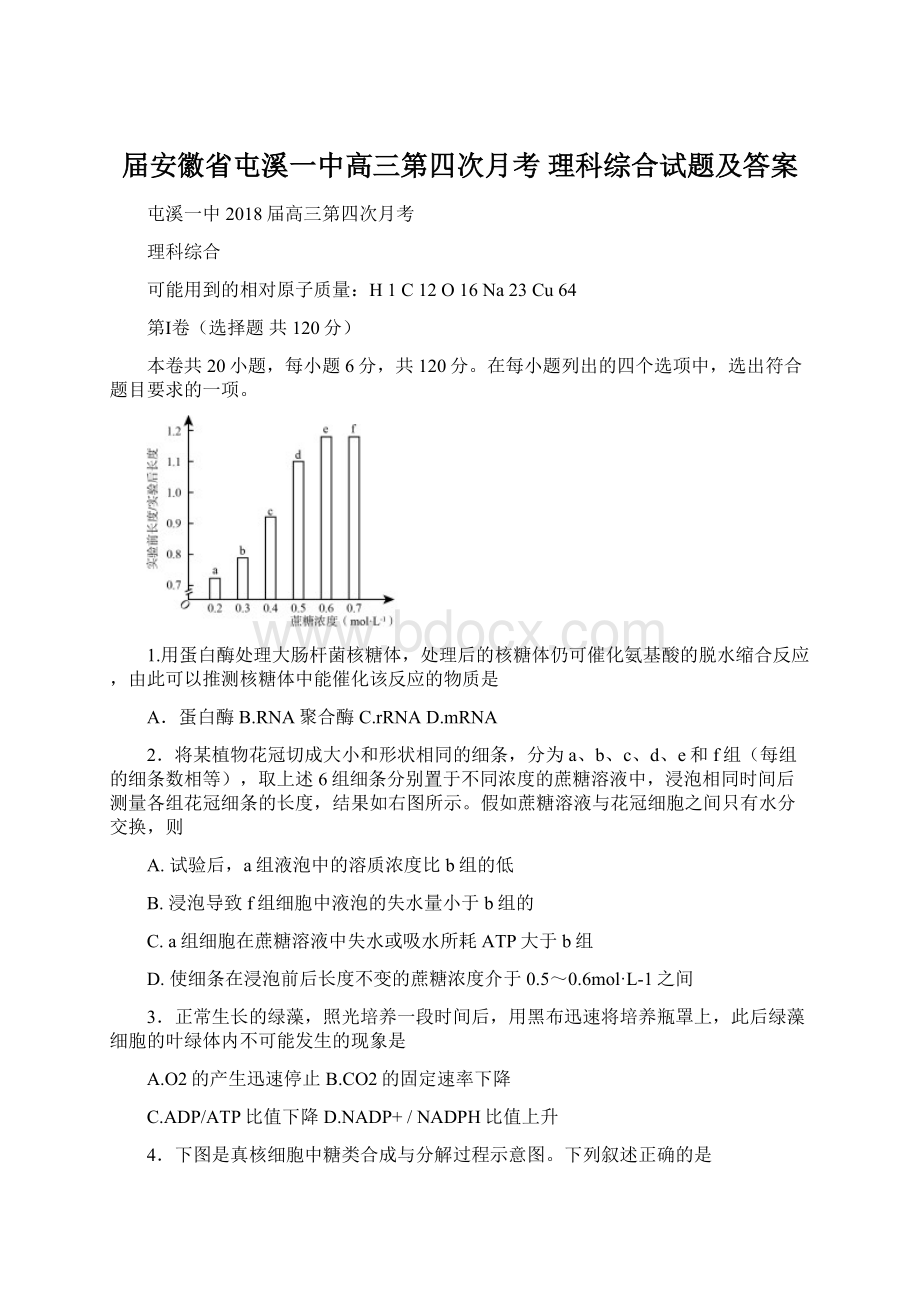 届安徽省屯溪一中高三第四次月考 理科综合试题及答案.docx_第1页