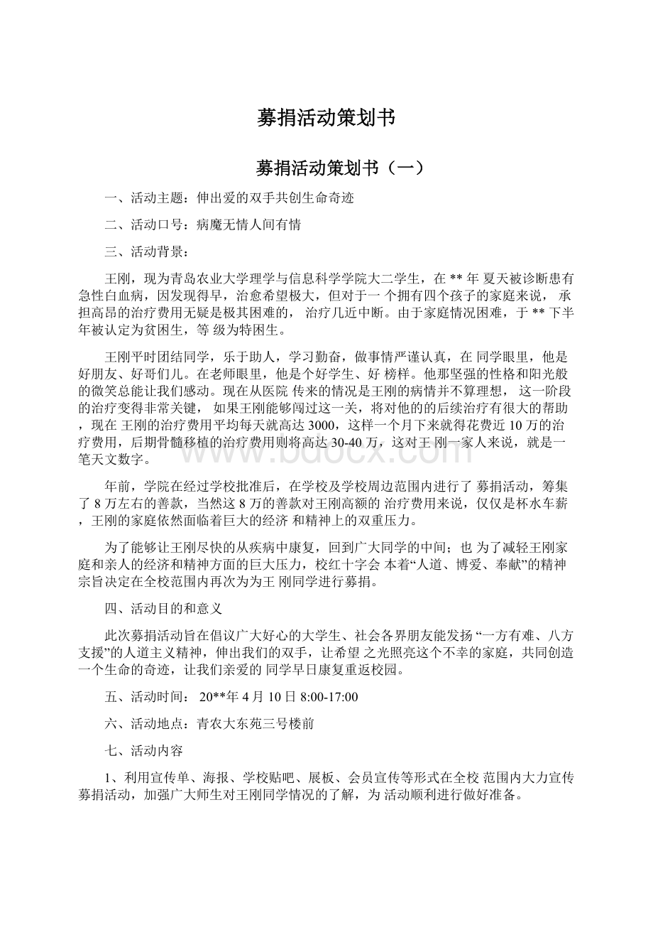 募捐活动策划书Word文档格式.docx