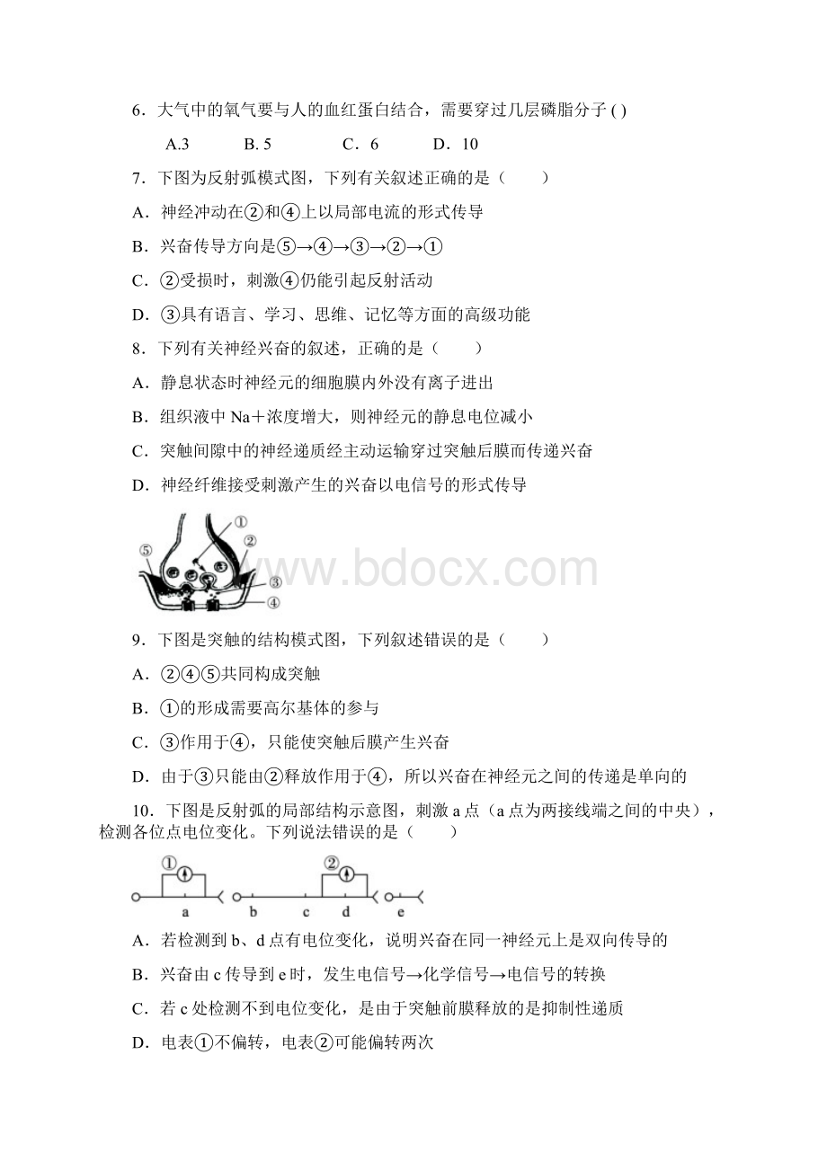 高一下学期期末考试 生物试题 含答案.docx_第2页