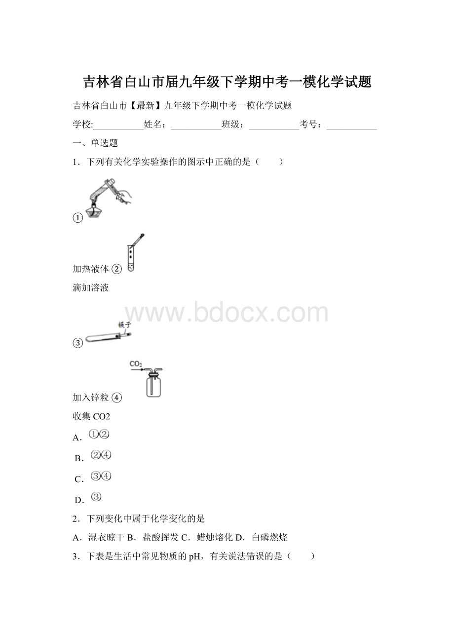 吉林省白山市届九年级下学期中考一模化学试题.docx_第1页