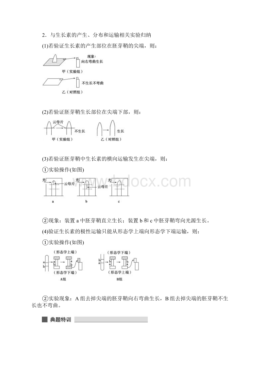 高三最后三个月步步高知识专题强化专题10植物的激素调节.docx_第3页