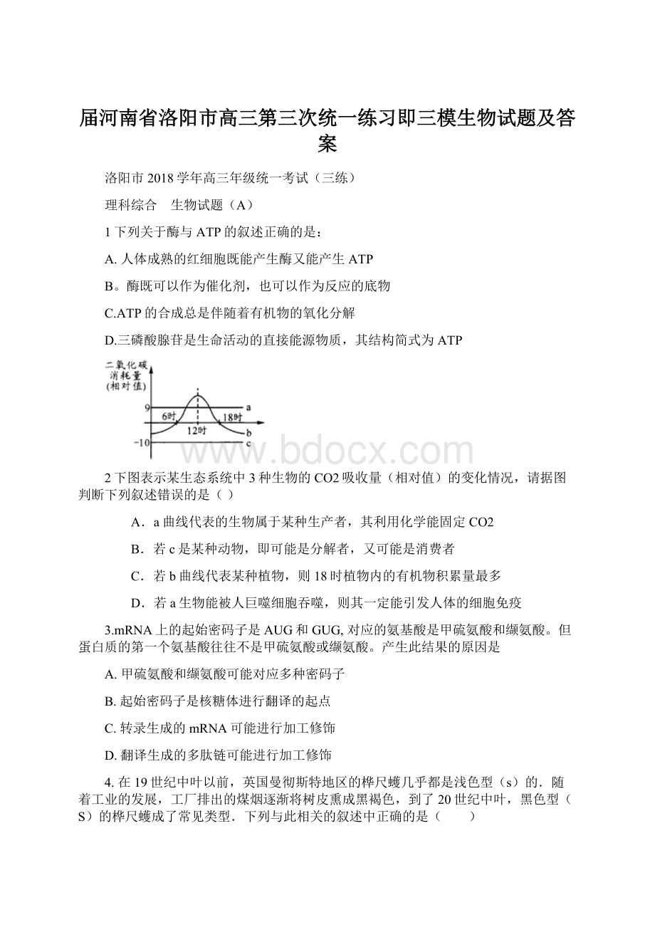 届河南省洛阳市高三第三次统一练习即三模生物试题及答案Word格式文档下载.docx