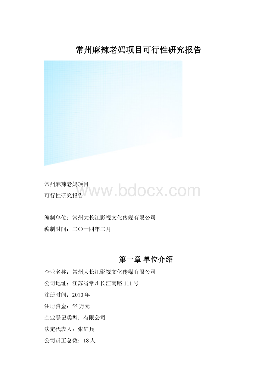 常州麻辣老妈项目可行性研究报告Word格式.docx