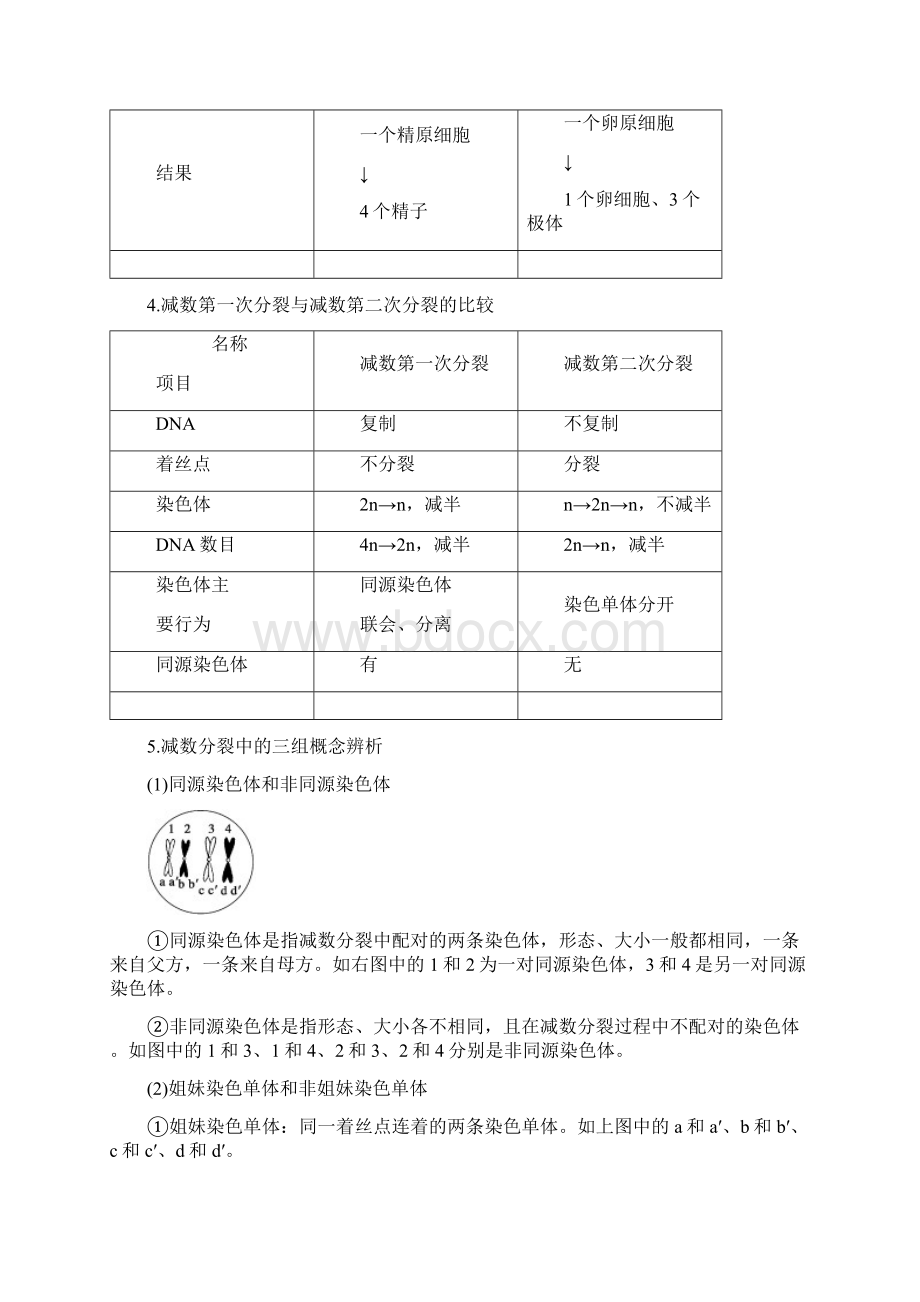 届《步步高》高考生物一轮复习第13讲减数分裂和受精作用1.docx_第2页