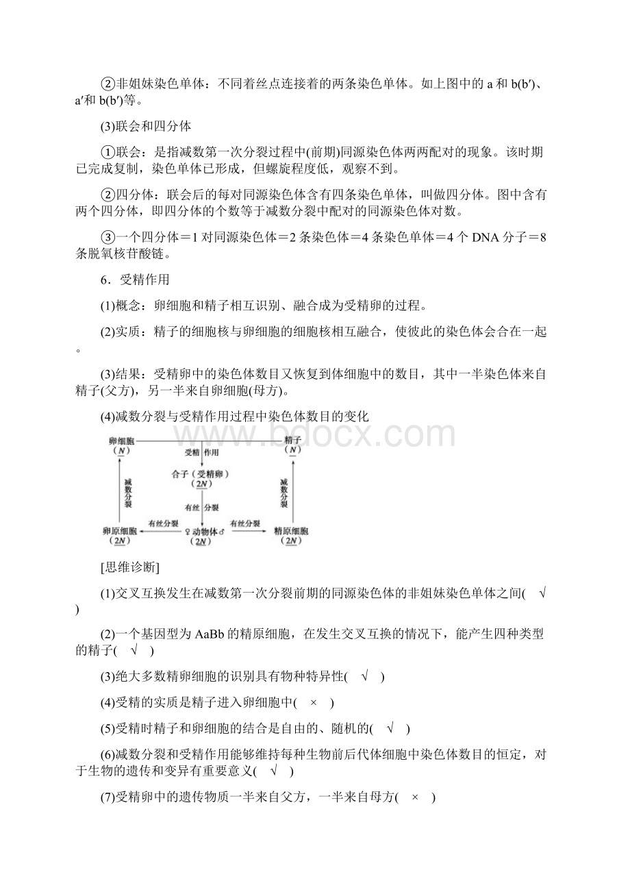 届《步步高》高考生物一轮复习第13讲减数分裂和受精作用1.docx_第3页