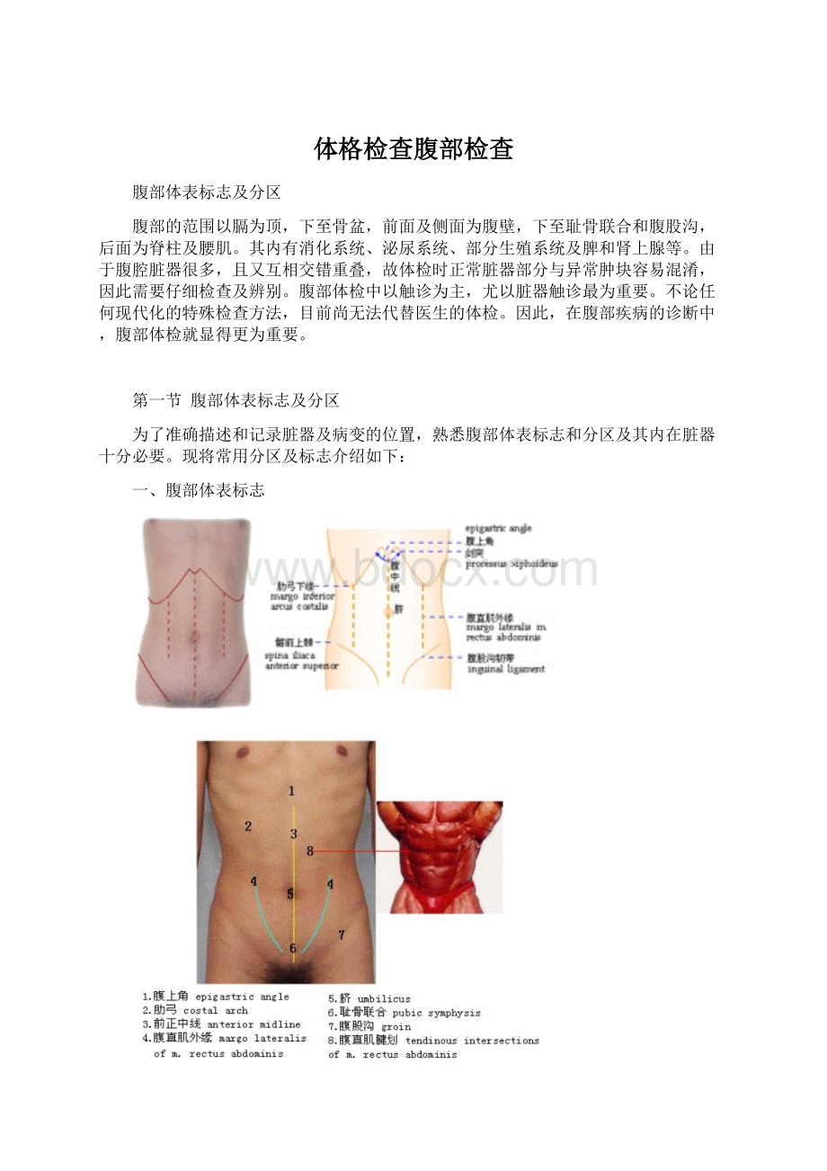 体格检查腹部检查.docx