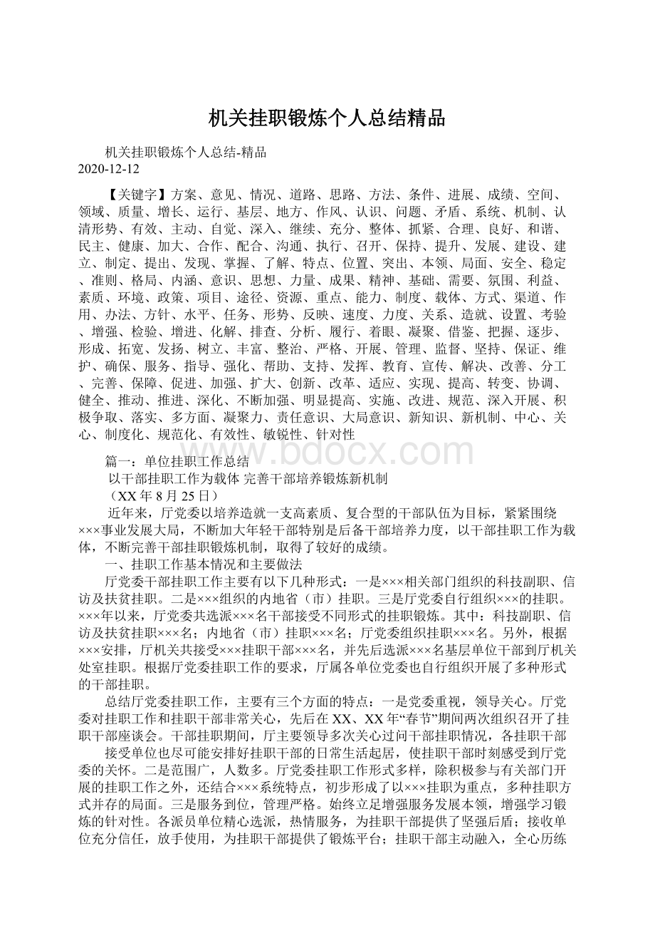 机关挂职锻炼个人总结精品Word格式.docx