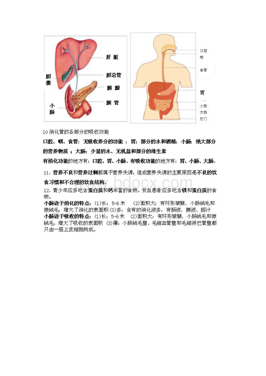 最新整理北师大版七年级生物下册复习提纲Word文件下载.docx_第3页