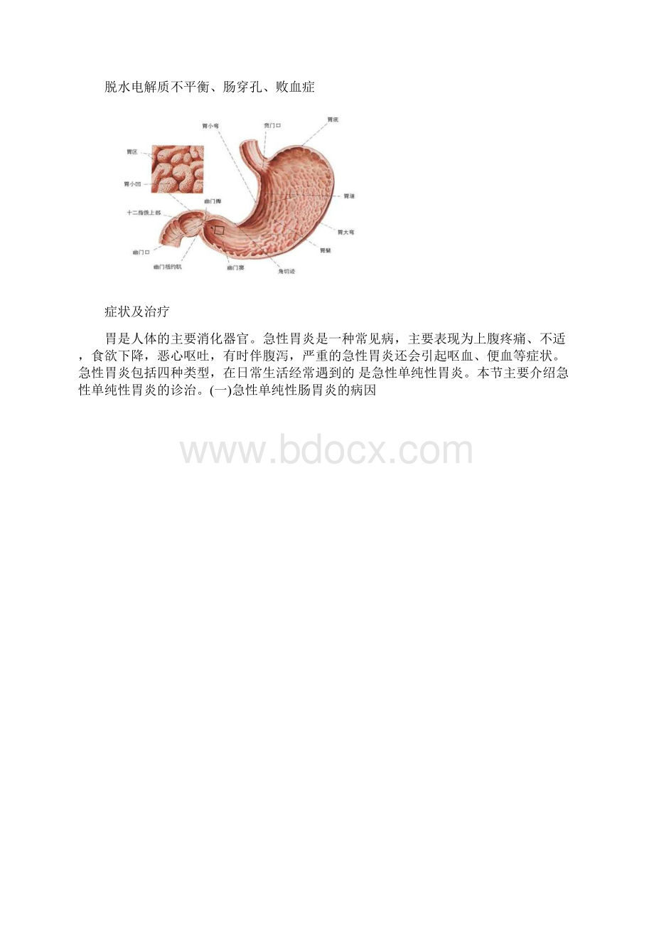 急性胃肠炎.docx_第2页