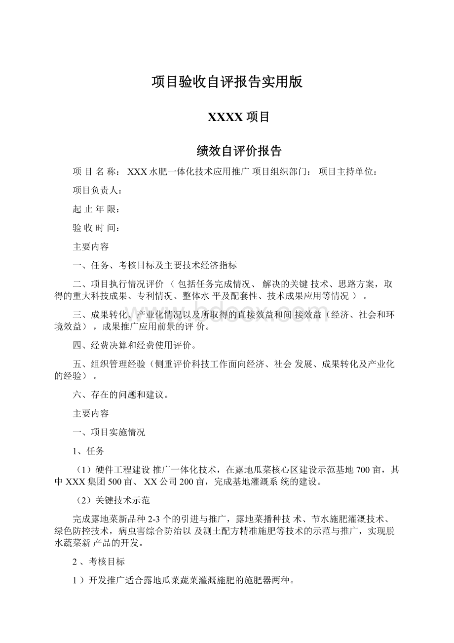 项目验收自评报告实用版文档格式.docx