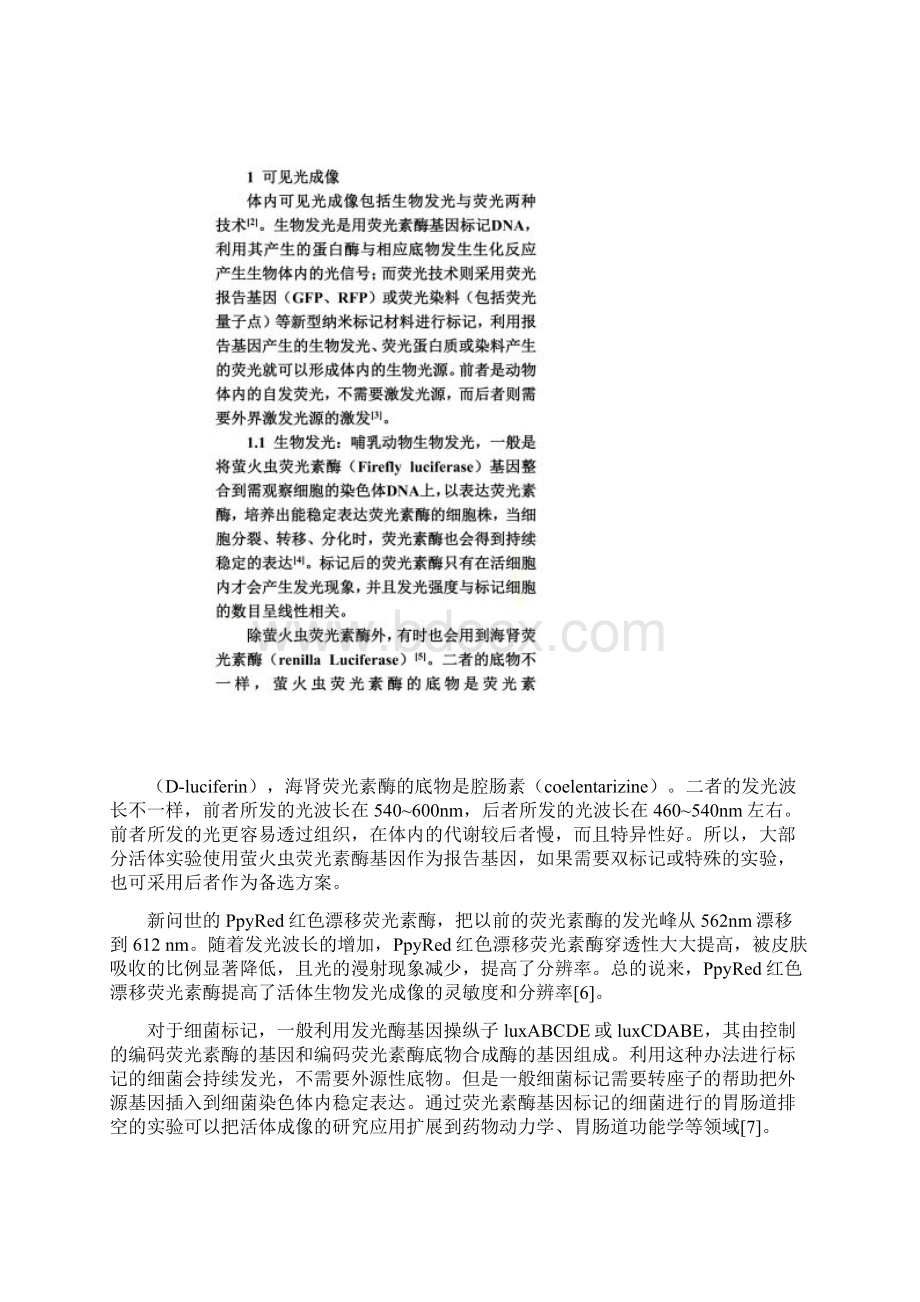 小动物活体成像技术浙江大学Word文档下载推荐.docx_第3页