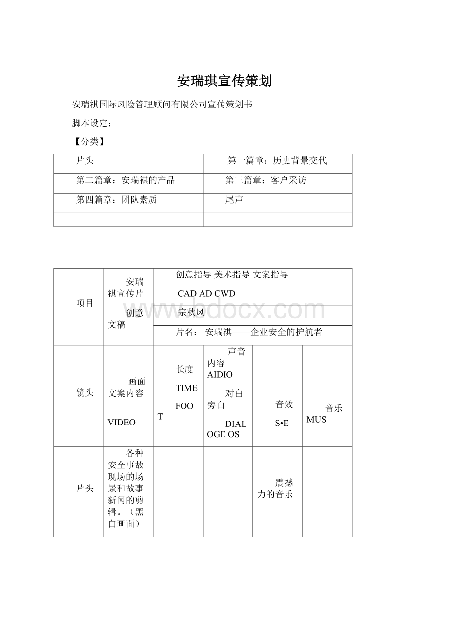 安瑞琪宣传策划.docx