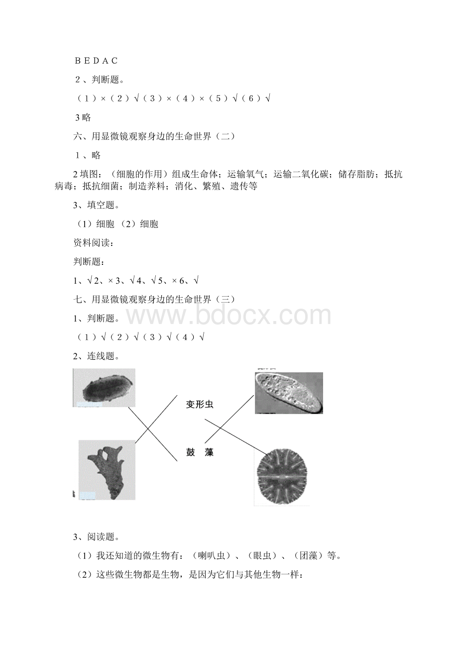 六年级科学下册答案文档格式.docx_第2页