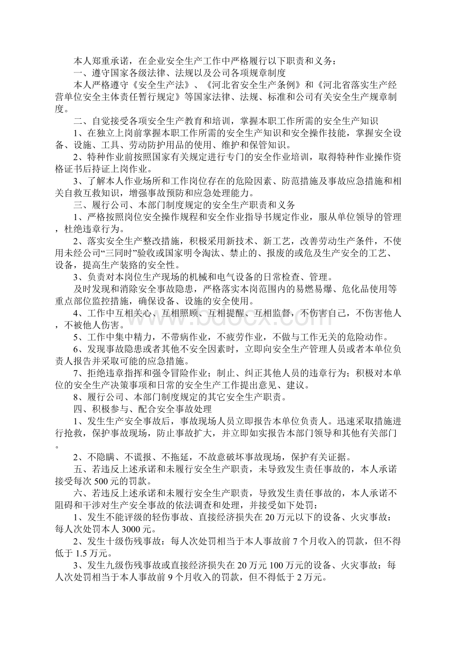 精选个人安全承诺书六篇.docx_第3页