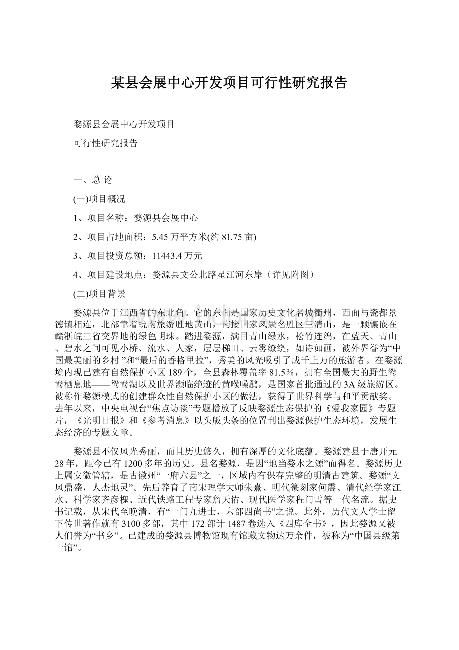 某县会展中心开发项目可行性研究报告.docx_第1页