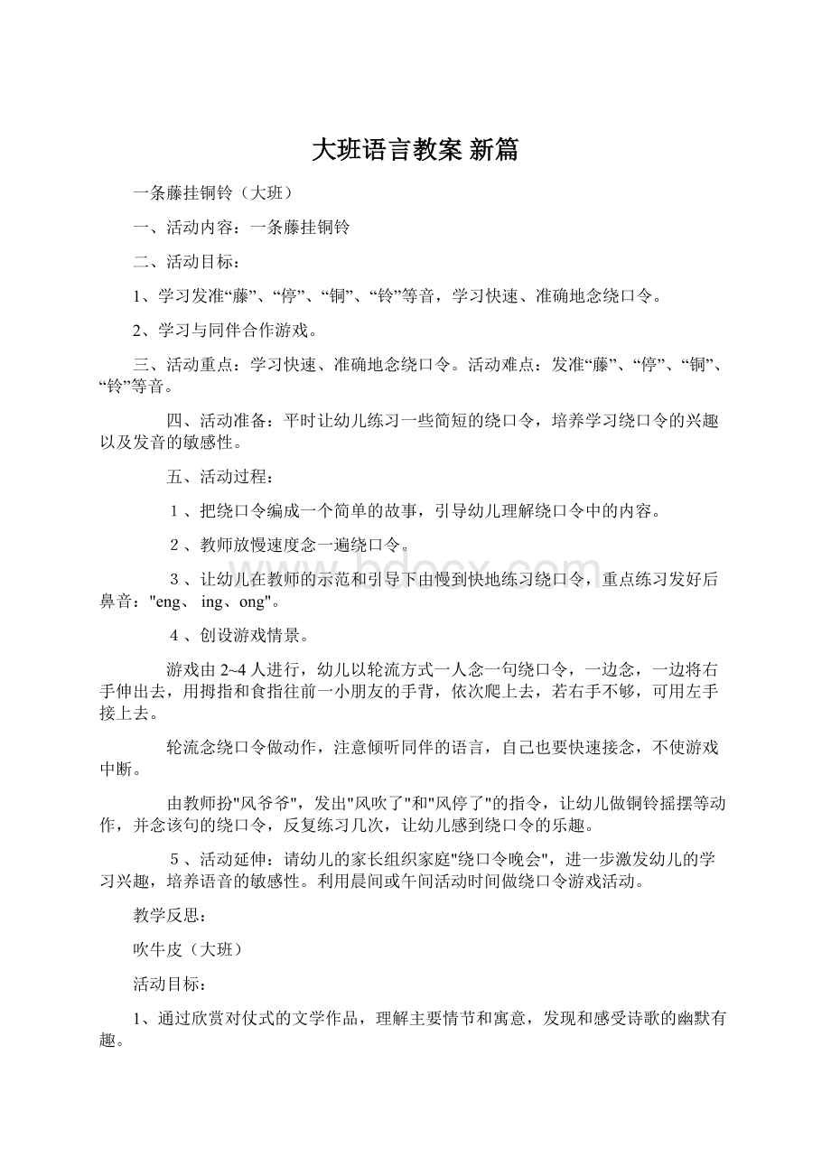 大班语言教案 新篇.docx