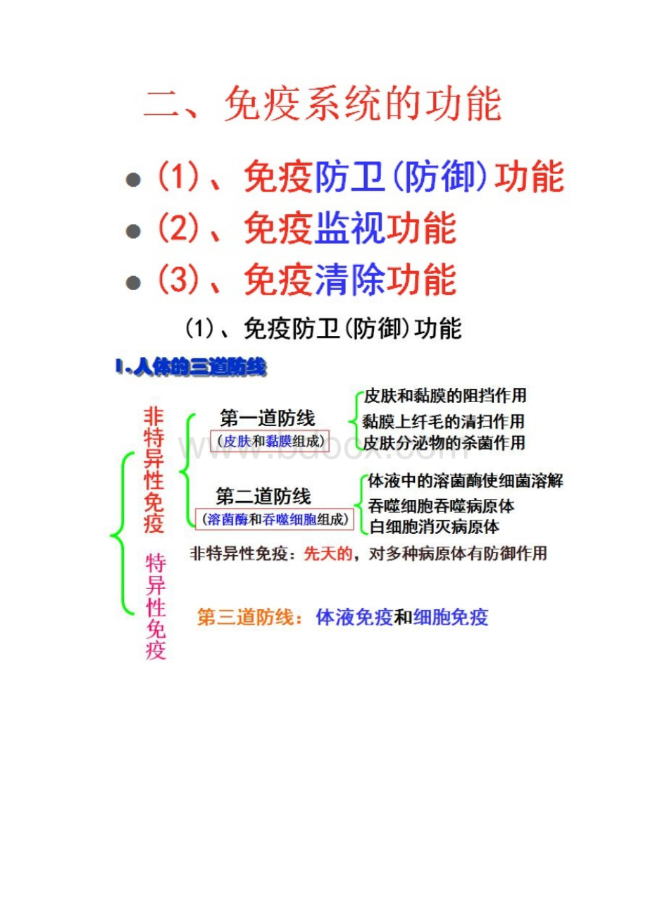 高中生物免疫调节知识总结Word文件下载.docx_第2页