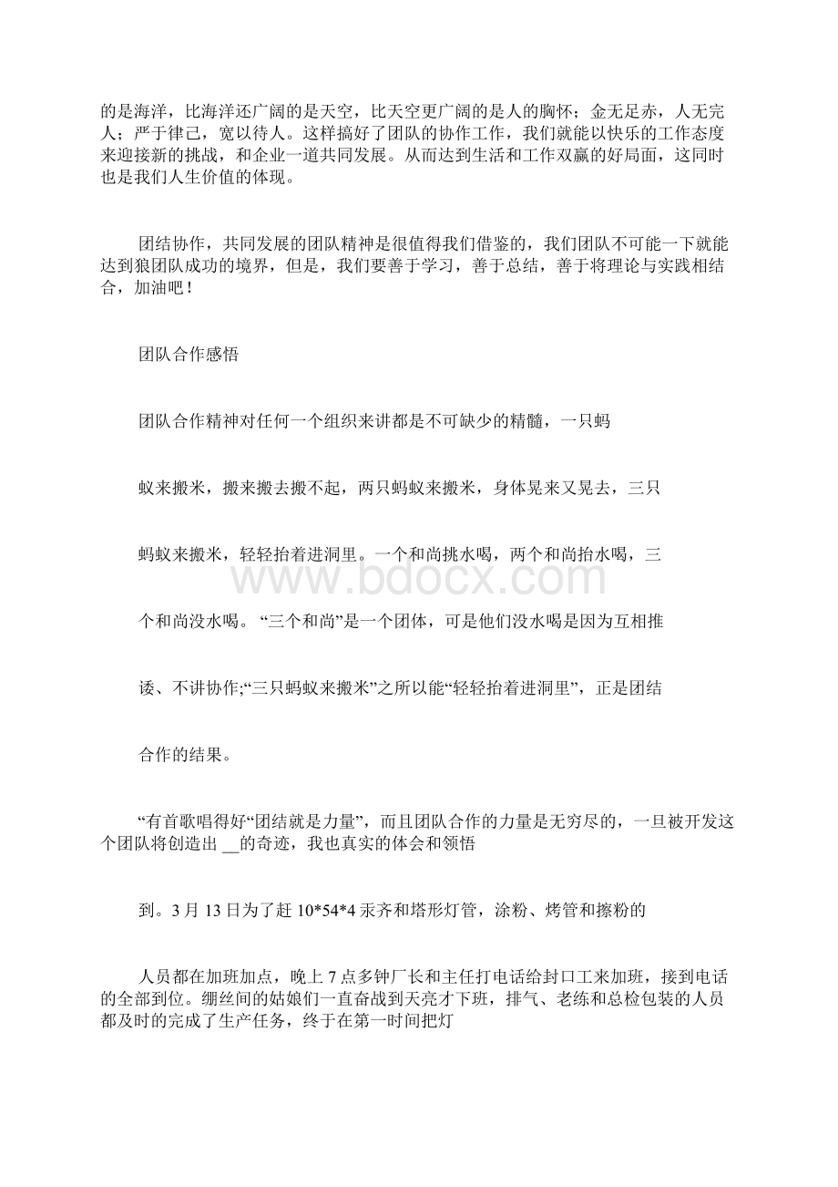 团队总结感言范文.docx_第2页