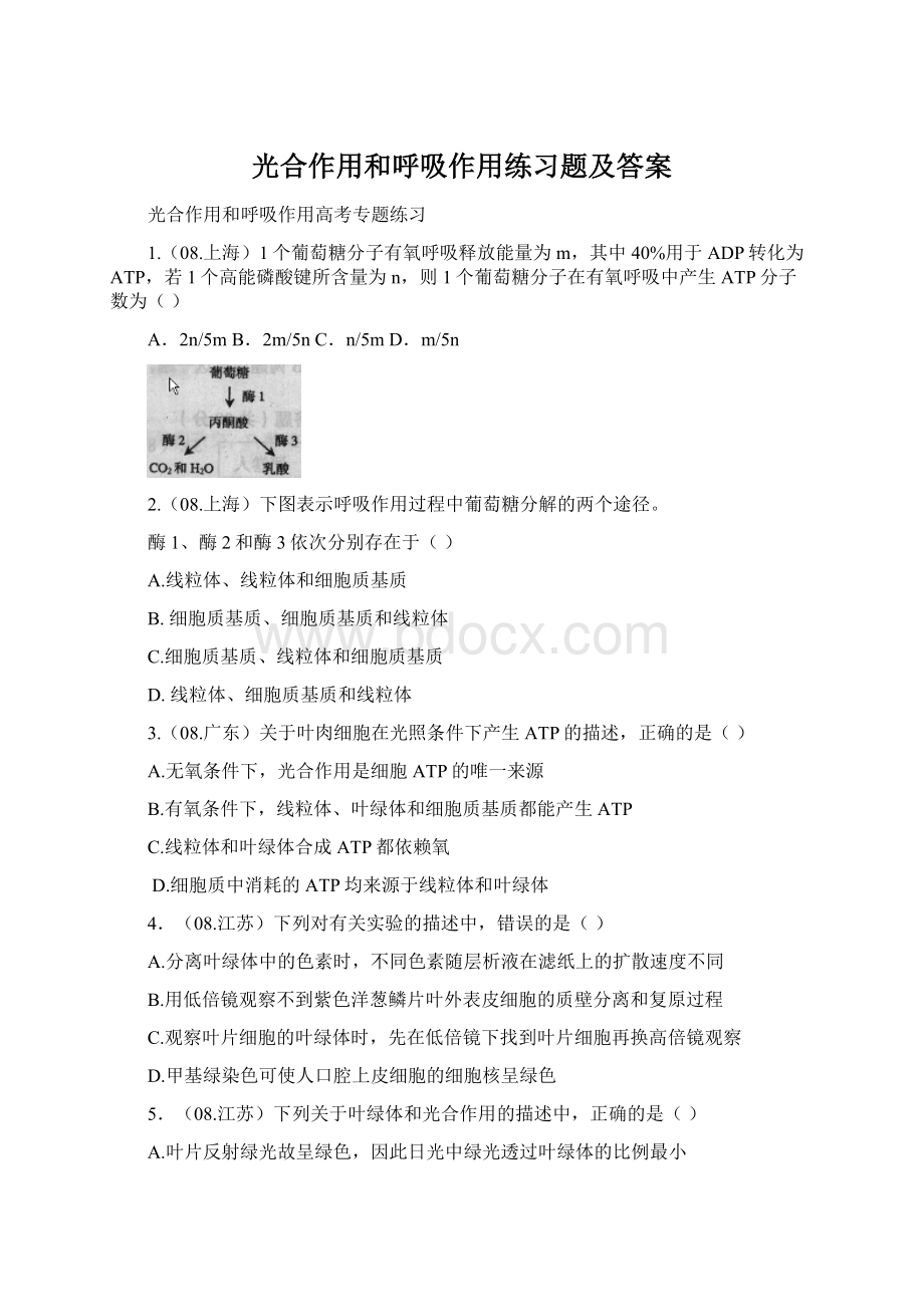 光合作用和呼吸作用练习题及答案Word格式文档下载.docx_第1页