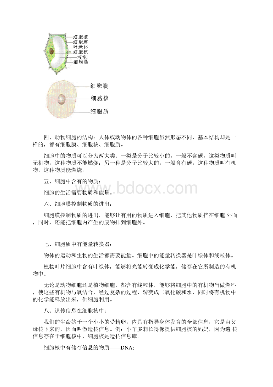 第一单元生物和生物圈知识点Word格式.docx_第3页