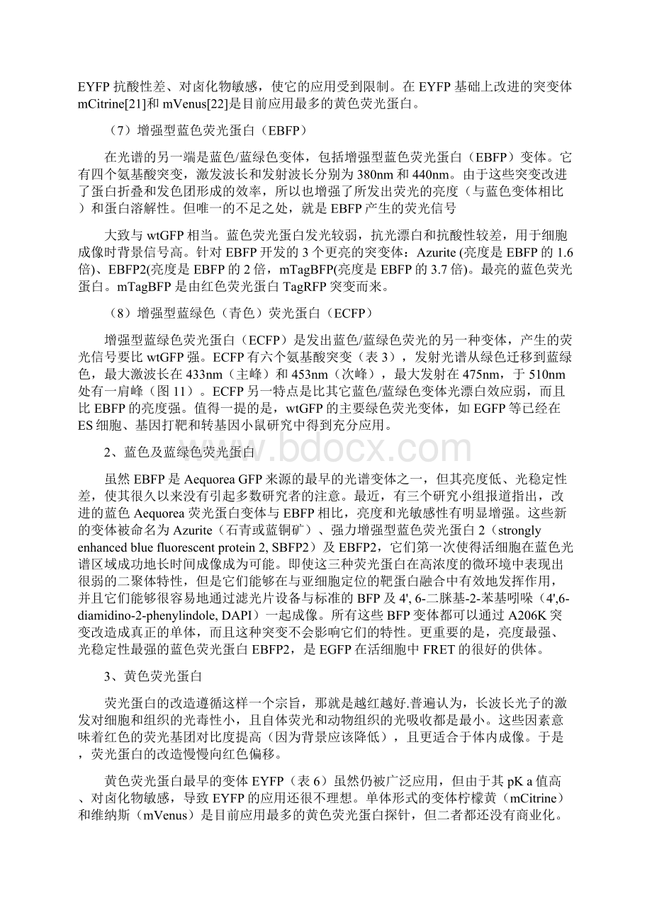 荧光蛋白整理之欧阳物创编Word文档格式.docx_第3页