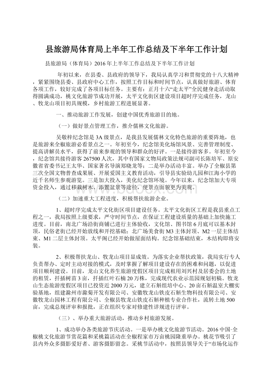 县旅游局体育局上半年工作总结及下半年工作计划Word文档格式.docx