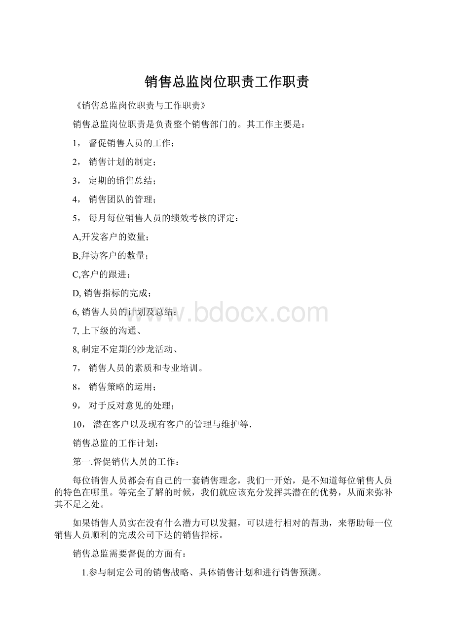 销售总监岗位职责工作职责文档格式.docx