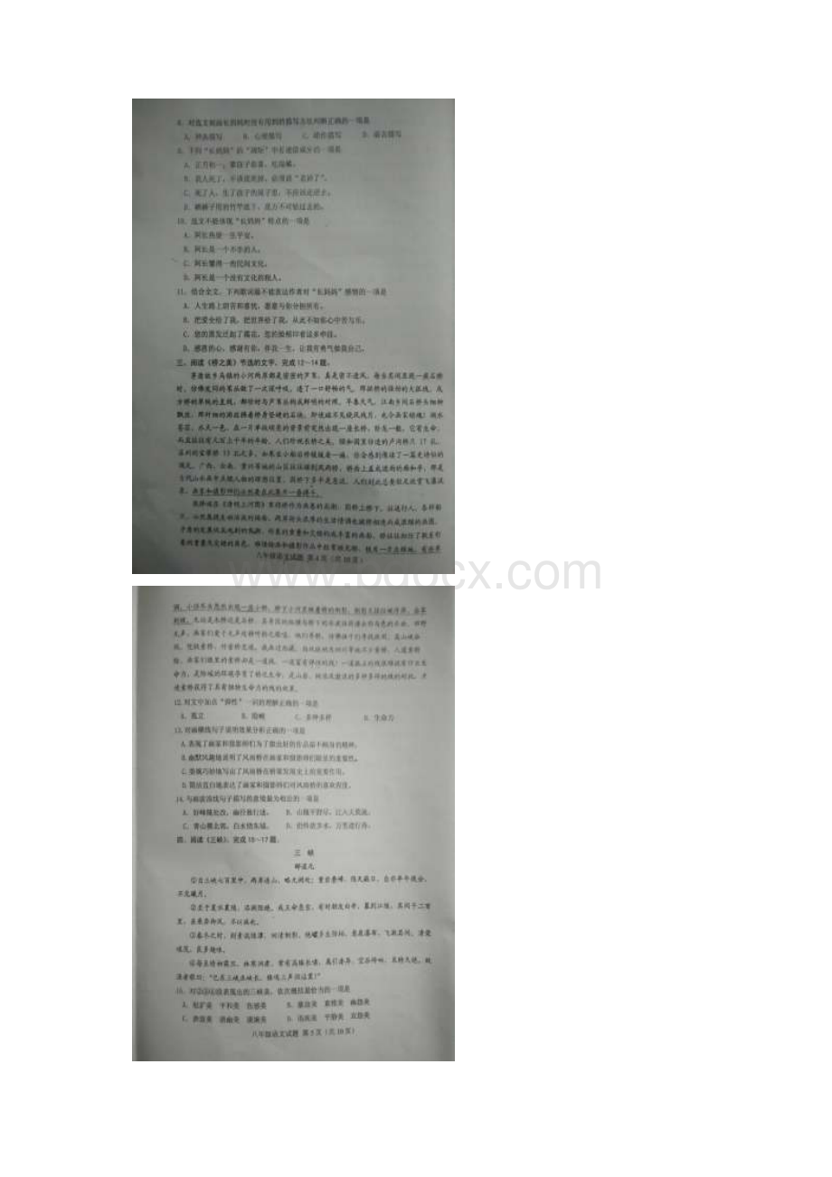 山东省肥城市学年八年级语文上学期期末教学质量监测试题新人教版.docx_第3页