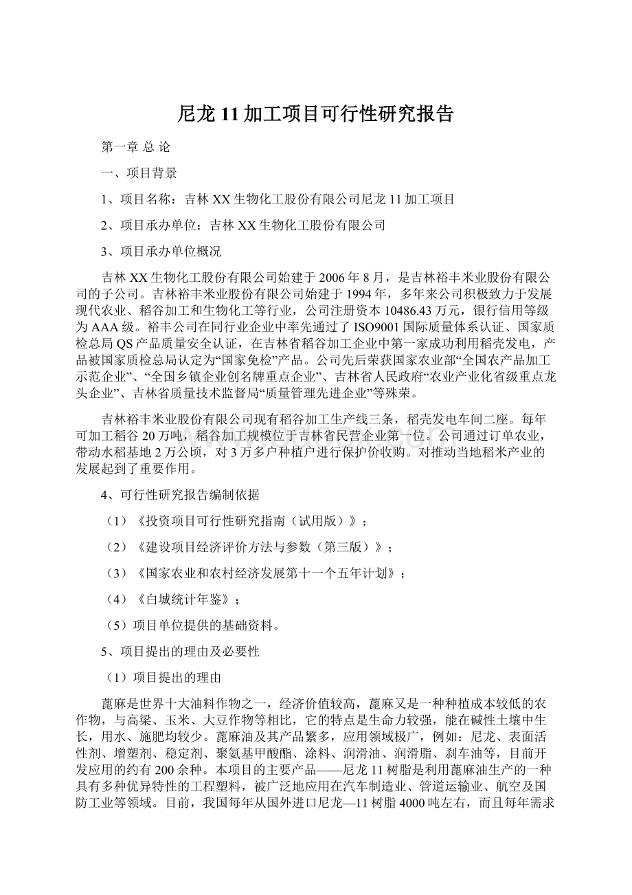 尼龙11加工项目可行性研究报告.docx_第1页