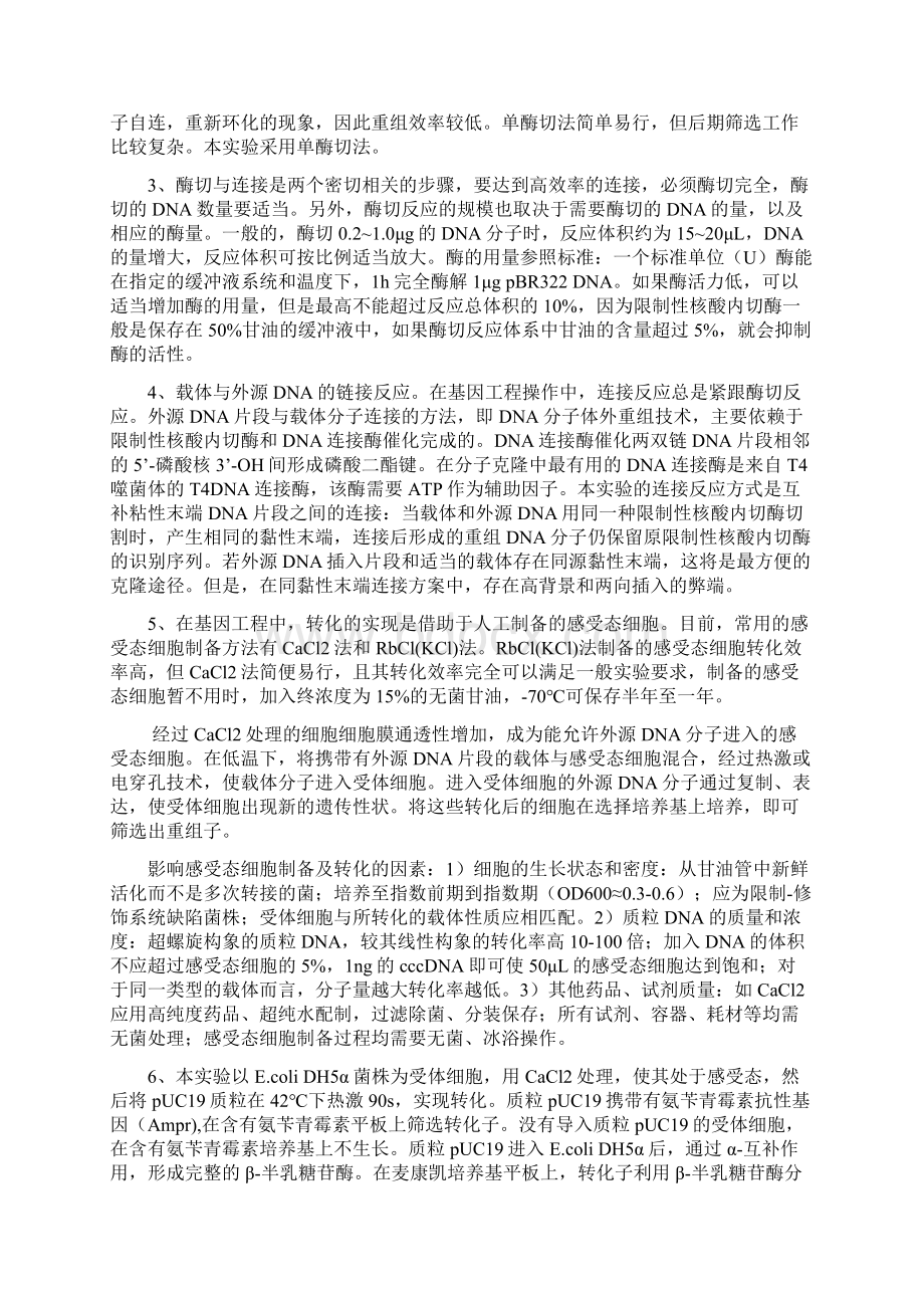 重组质粒的构建转化与重组子筛选Word文档下载推荐.docx_第2页