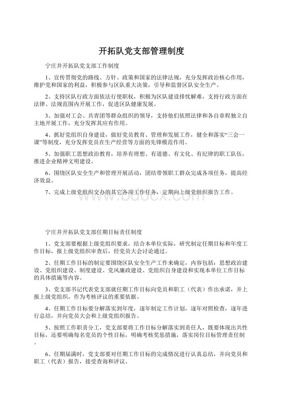 开拓队党支部管理制度.docx