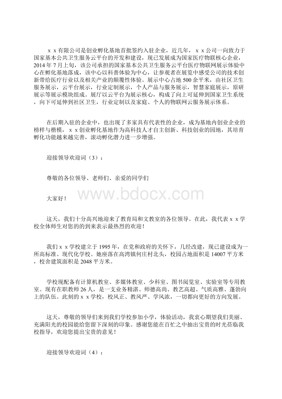 迎接领导欢迎词.docx_第3页