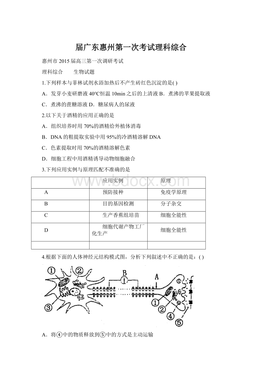 届广东惠州第一次考试理科综合.docx