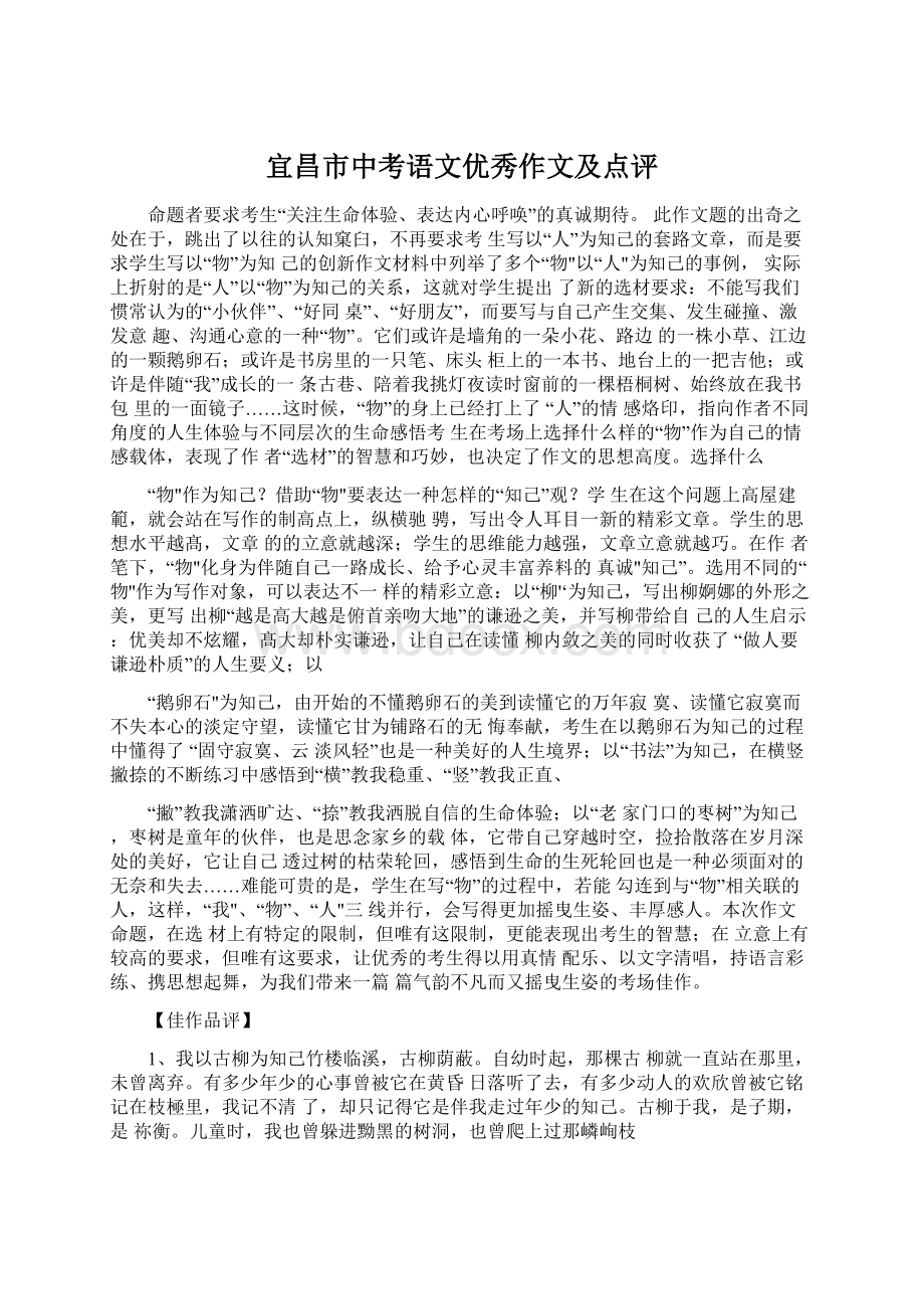 宜昌市中考语文优秀作文及点评.docx