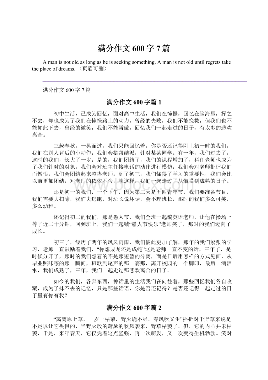 满分作文600字7篇Word格式文档下载.docx