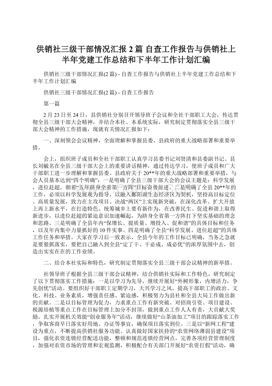 供销社三级干部情况汇报2篇自查工作报告与供销社上半年党建工作总结和下半年工作计划汇编Word文件下载.docx