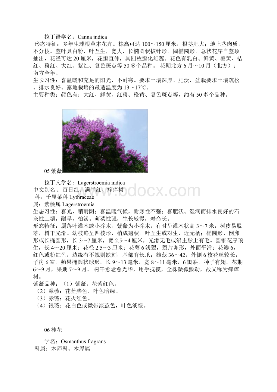 湖北常见植物.docx_第3页