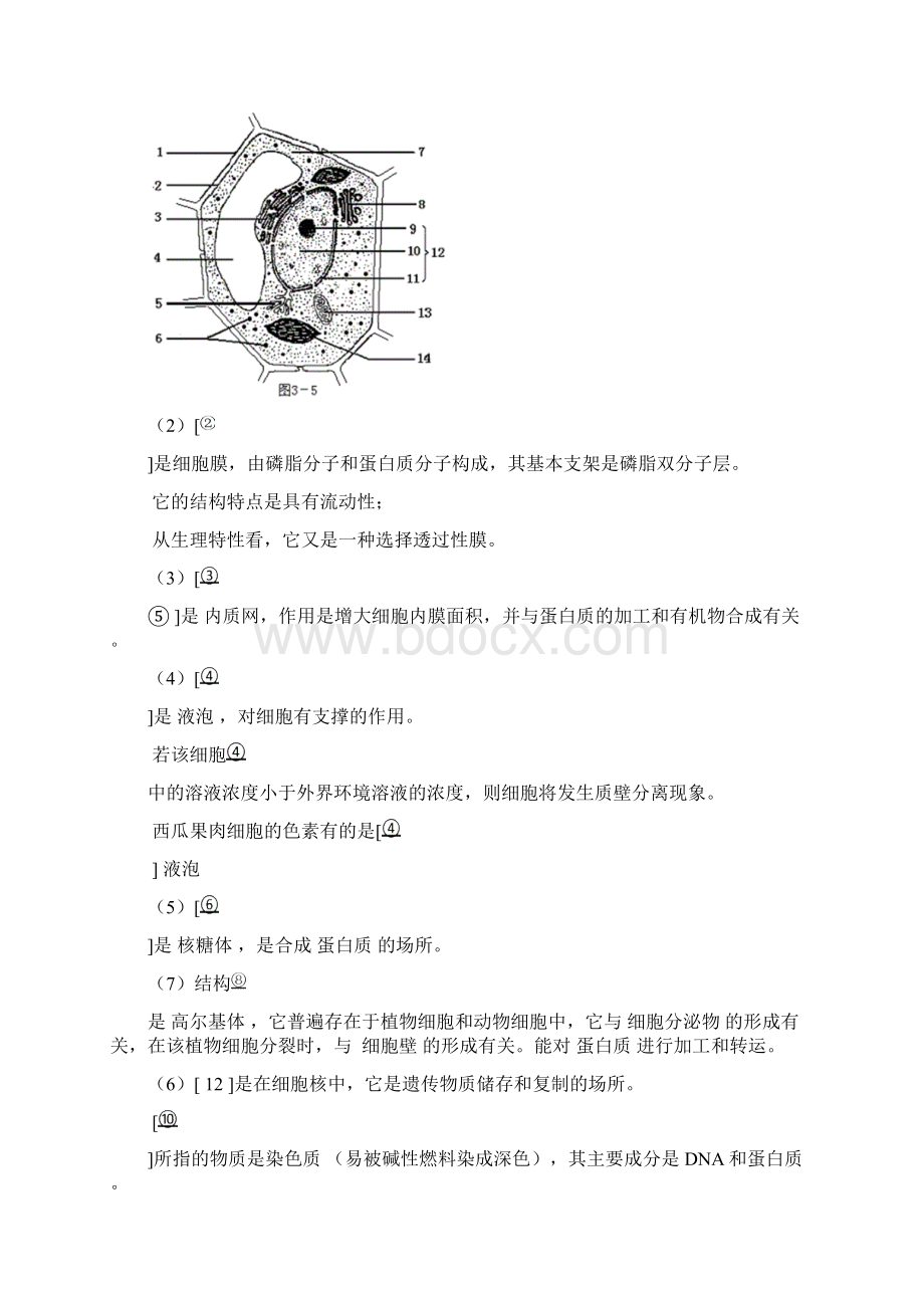 高中生物题型汇总.docx_第2页