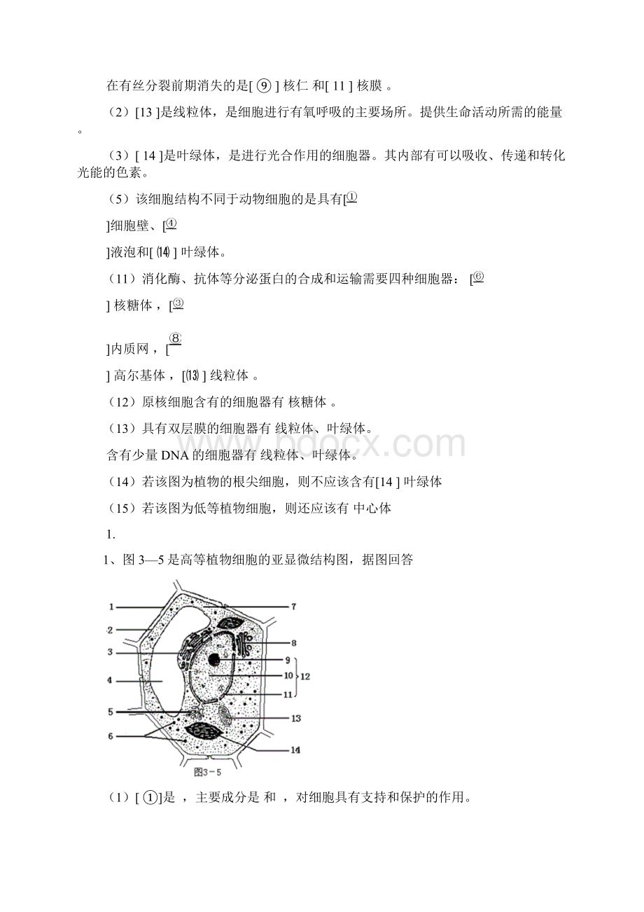 高中生物题型汇总.docx_第3页