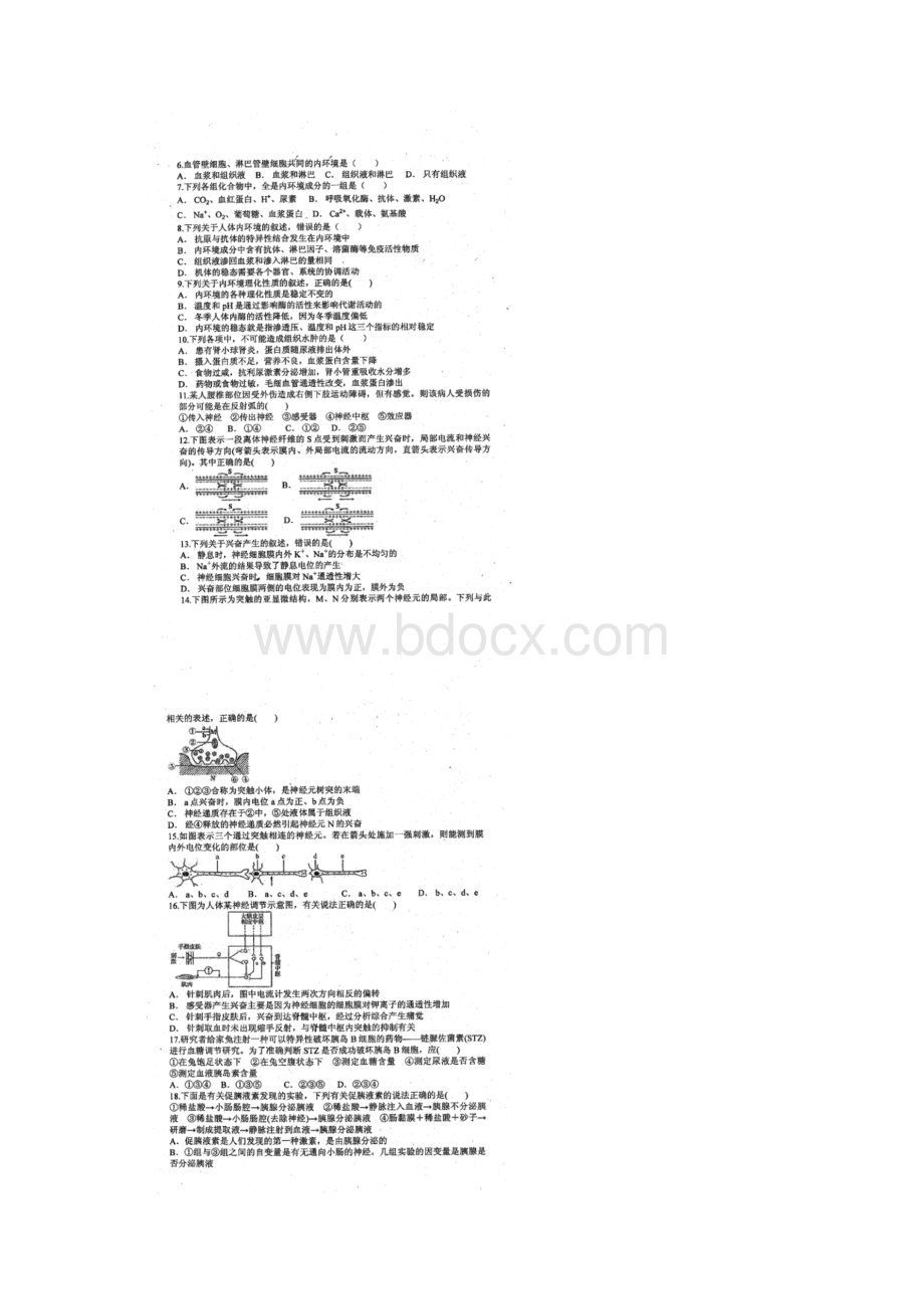 四川省成都七中实验学校学年高二生物上学期期中试题扫描版无答案.docx_第2页