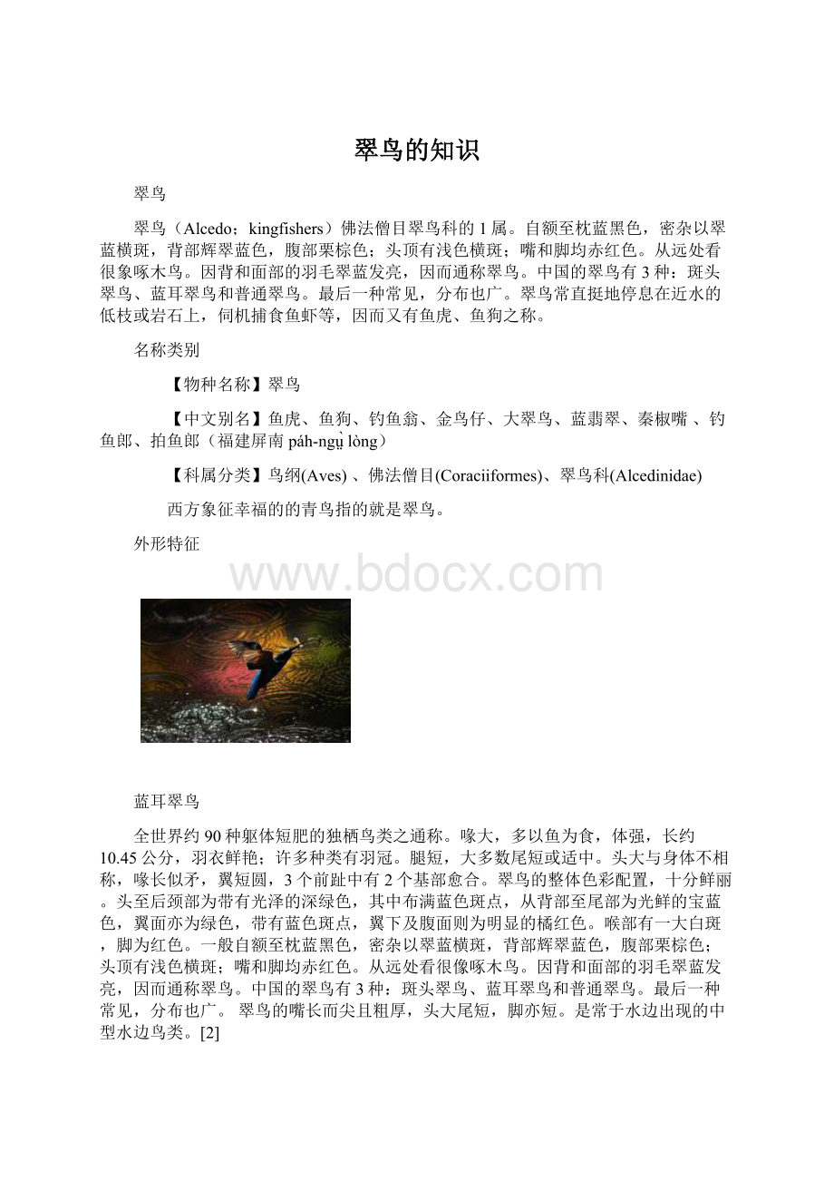 翠鸟的知识Word文档下载推荐.docx