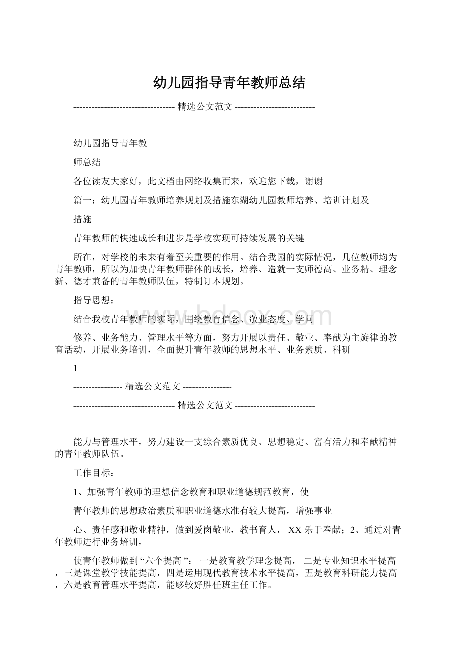 幼儿园指导青年教师总结Word格式文档下载.docx